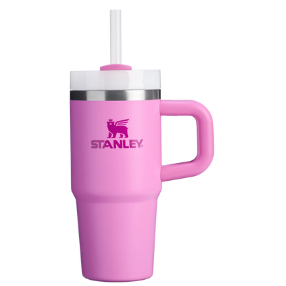 Mini Stanley Limited Edition 14oz Tumbler